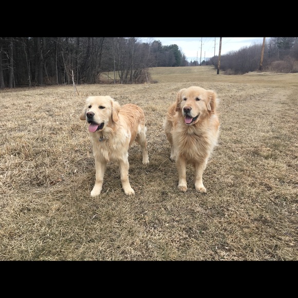 Meet your Posher, C - Picture 1 of 4